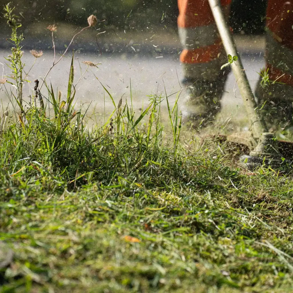 Terrain débroussaillé en lisière de forêt en Gironde, obligation légale de débroussaillement