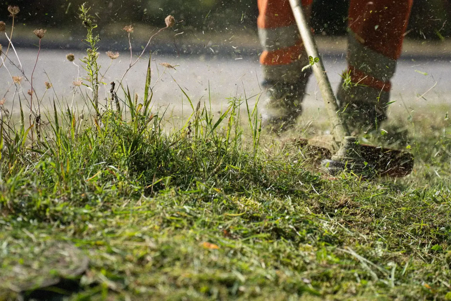 Terrain débroussaillé en lisière de forêt en Gironde, obligation légale de débroussaillement